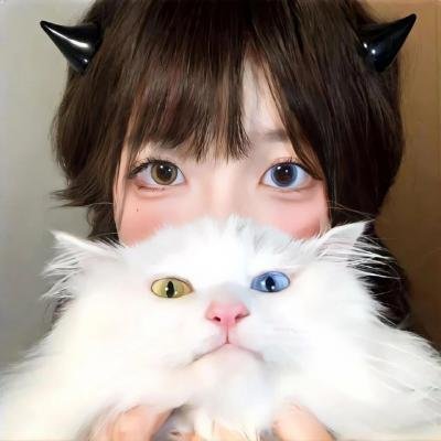 渡轮北部